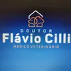 flaviocilliveterinario