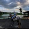 david_z.696530
