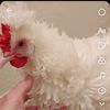 birdworthy3