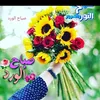 mohammedbourhim23