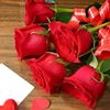 ishqzahday5