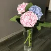 svetlana86774