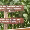 heni_kusumaningrum