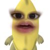 qwenns4