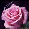 ffatima768