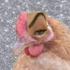 susspusmama