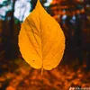 at_ll_