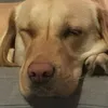 soo_30_______1