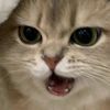 user00929053