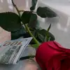 tvoimir_kz