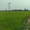 ko.tun1364
