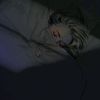 zahraa.ashraf5