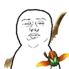 leozaure