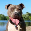 codythebluenose
