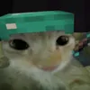 necauoi1