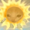 kittyyyour