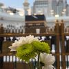 gadurah26