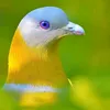 mohamed.bndiyan