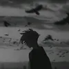 l.lmo