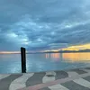 liana_bsl