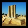 naji_aliji