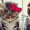 naty_2077