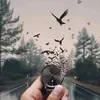 alsafiafindi