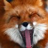 swxxtxxhxnxy