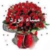 user131140721
