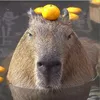 kobe_lammens
