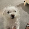 kirby_0817