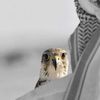 th_al305