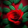 leyla99243