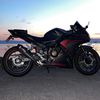 emilie_peders1
