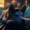 jax.husky1