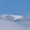 ewen_lc22