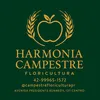 harmoniacampestreflori