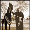 norah_al2