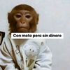 luissg70