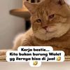biru.langit2705