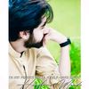 dmoosa__