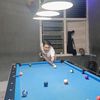 gendon_aw
