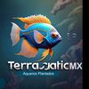 omarctaquarium