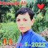 hussain.ali529