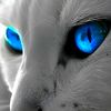 user262551007
