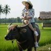 บัณฑิตาเพชรบูรณ์