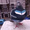 hamudi77454