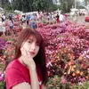 meringallidap4