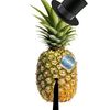 sr_pineapple_