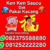 kenkenbabipanggangbangka